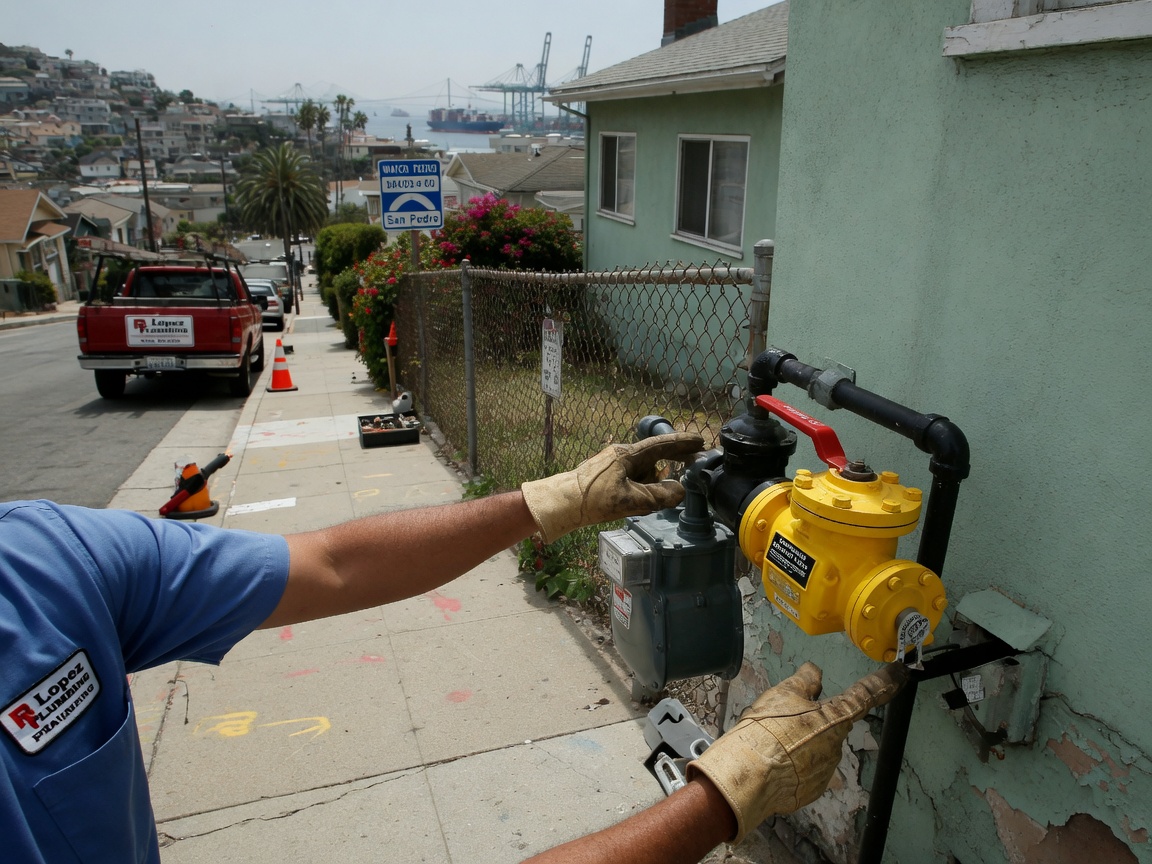 Earthquake Shutoff Valve Placement for San Pedro Properties